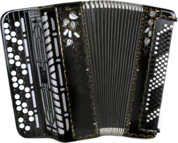 БН-39-1	Баян ученический двухголосный "ТУЛА - 210», 55×100-II. Тульская Гармонь