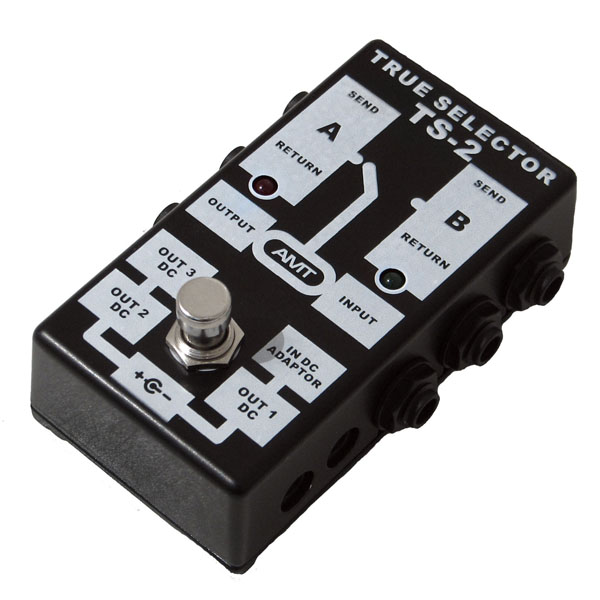 TS-2 TRUE SELECTOR Пассивный двухканальный коммутатор (селектор), AMT Electronics