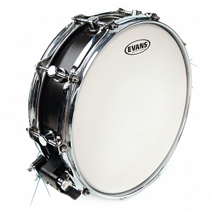 B10G1RD Пластик для МАЛОГО барабана 10", серия Power Center Reverse Dot, Однослойный, Evans