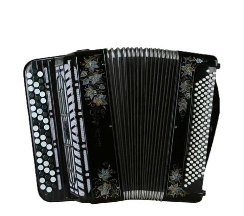 БН-53	Баян ученический двухголосный  «ТУЛА» 55×120/50-II. Тульская Гармонь