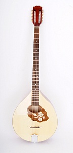 M1089 Irish Bouzouki Бузуки с чехлом Hora