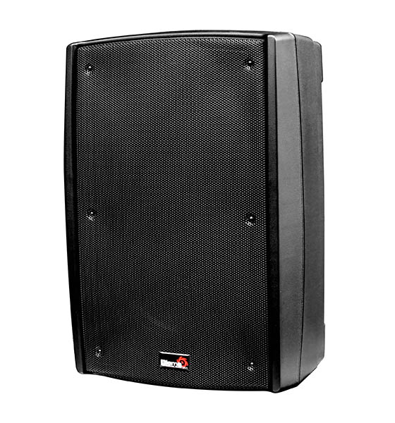 B2-112 Пассивная акустическая система, 400Вт, Biema