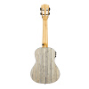 HH-2316E Bamboo Series Укулеле концертный со звукоснимателем, с чехлом, графит, Cascha