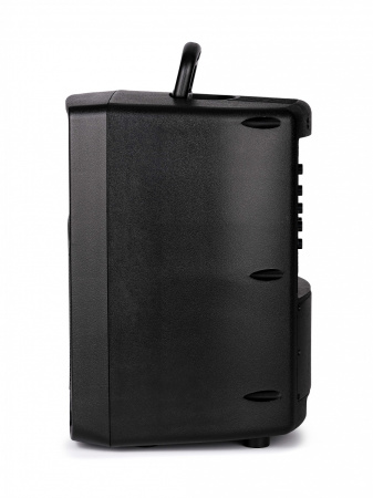 PR-8 Акустическая система c радиомикрофоном, аккумуляторная, 50Вт, Leem