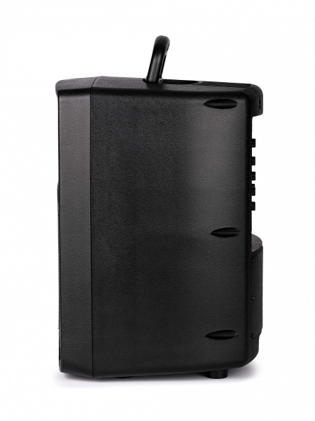 PR-8 Акустическая система c радиомикрофоном, аккумуляторная, 50Вт, Leem