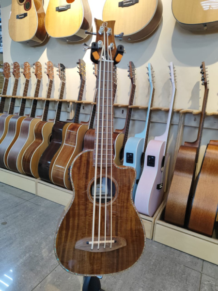 CAIMAN-BS-GB Lizard Series Укулеле-бас со звукоснимателем, с ладами, с вырезом, с чехлом, Ortega