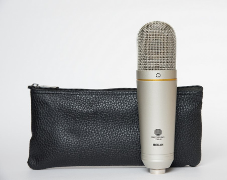 MCU-01-N Микрофон конденсаторный USB, никель, RECORDING TOOLS