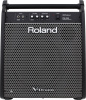 (ATD) ROLAND PM-200