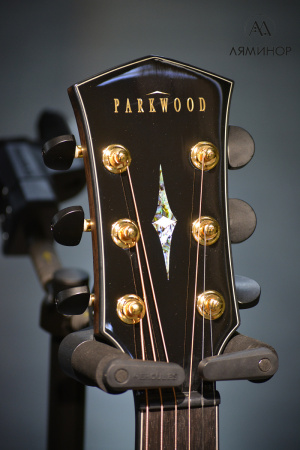 GA48-WBAG-NAT Электро-акустическая гитара, цвет натуральный, с чехлом, Parkwood