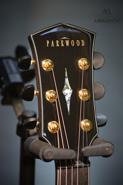 GA48-WBAG-NAT Электро-акустическая гитара, цвет натуральный, с чехлом, Parkwood