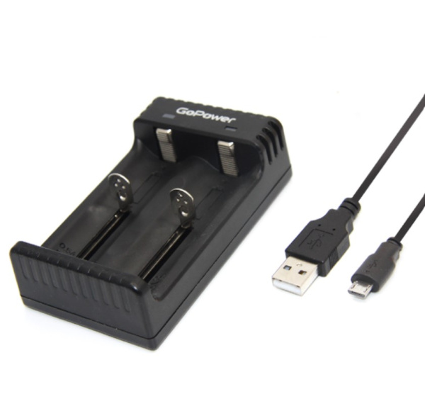 00-00015360 LiCharger 4 Зарядное устройство для аккумуляторов Ni-MH/Ni-Cd/Li-ion, 2слота, GoPower