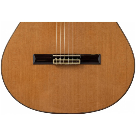 N500+Case Гитара классическая 4/4, с чехлом, цвет натуральный, Altamira