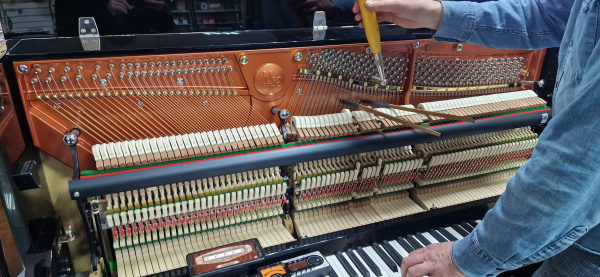 W120 BL Пианино акустическое, цвет черный полированнный 120 см  Wendl&Lung