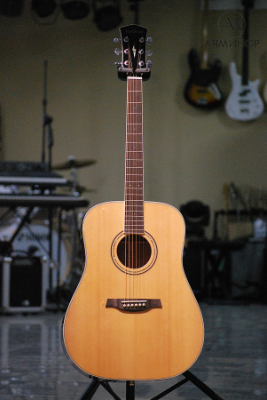 S61 Акустическая гитара, с чехлом. Parkwood
