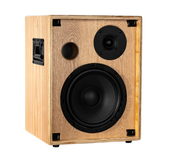 CONE-ASH C One Комбоусилитель для акустической гитары, 100Вт, ясень, Ortega