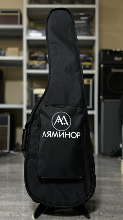 ЧГБ4 Чехол для бас-гитары, утепленный