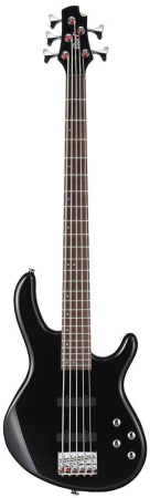 Action-Bass-V-Plus-BK Action Series Бас-гитара 5-ти струнная, черная, Cort