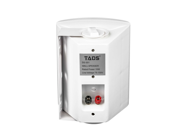 DS-501 Громкоговоритель настенный, 15Вт, TADS