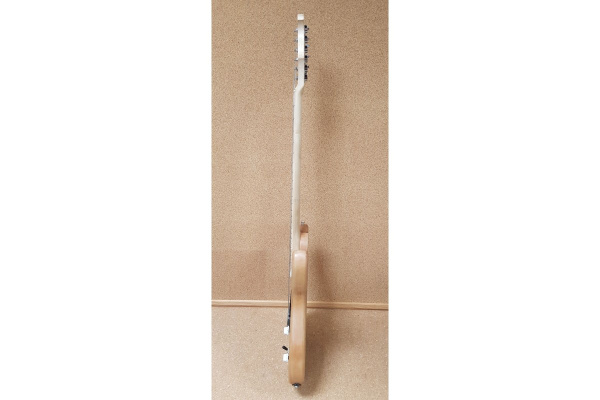 (TDN) Электрогитара Fro G Orion