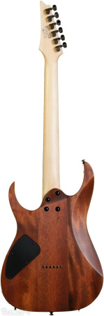 RG421-MOL Электрогитара. IBANEZ