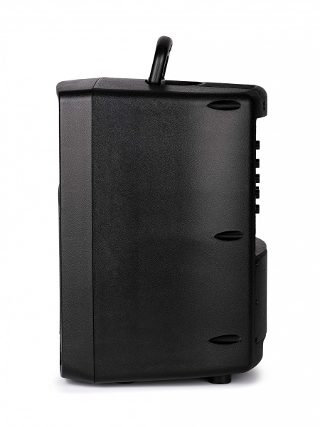 PR-8 Акустическая система c радиомикрофоном, аккумуляторная, 50Вт, Leem