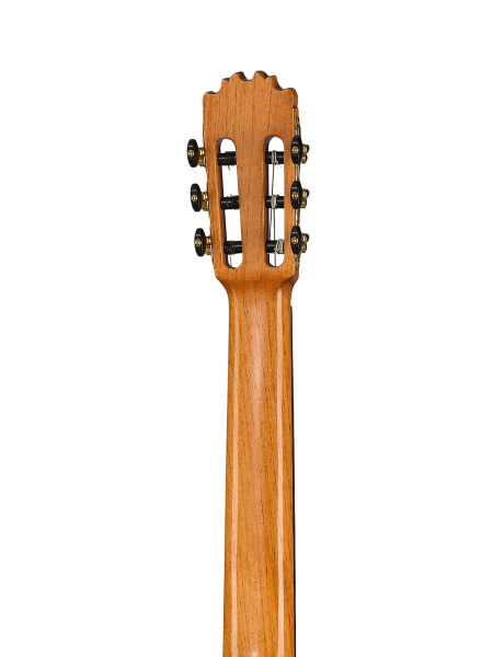 GS-Ziricote 4 GS-Ziricote 4