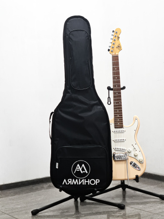 ЧГЭ3 Чехол для электрогитары, утепленный