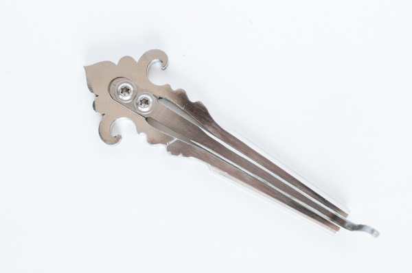 Тюльпан Варган, г. Казань. Твой Космос, Мастерская Ильдара Гимадиева