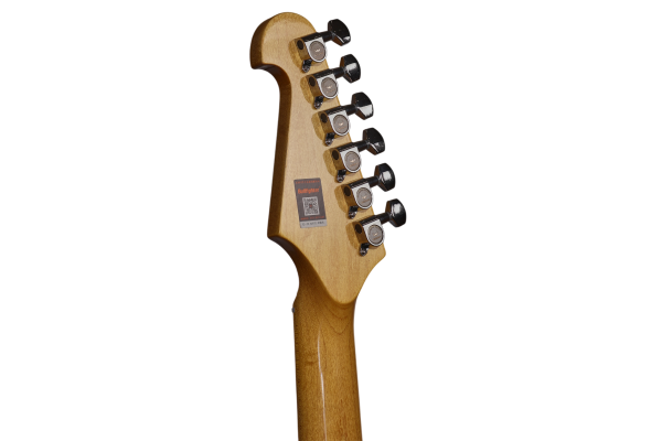 (TDN) BULLFIGHTER D-133 GR электрогитара, цвет зеленый, чехол в комплекте