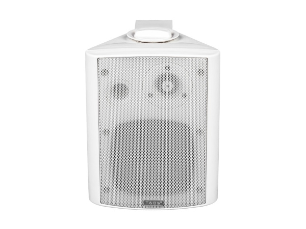 DS-501 Громкоговоритель настенный, 15Вт, TADS