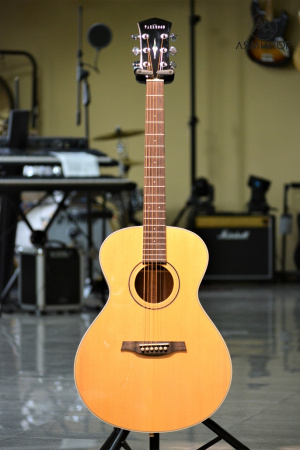 S23-GT Акустическая гитара, цвет натуральный, Parkwood