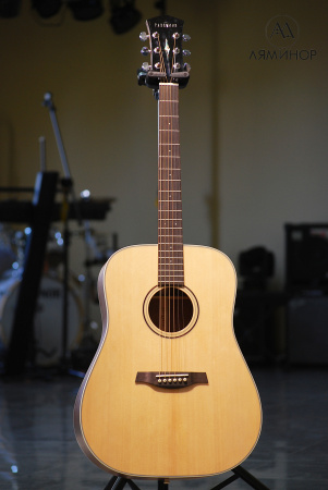 S21-GT Акустическая гитара, дредноут, с чехлом, глянец, Parkwood
