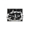 01STA00001 Stone Age Педаль эффектов Fuzz, Thermion