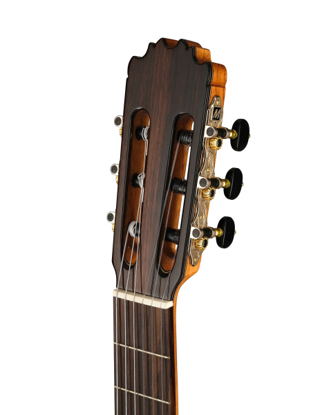 GS-Ziricote 3 GS-Ziricote 3
