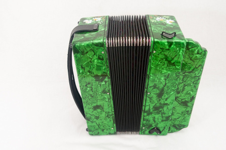G-21-C-GR Гармонь Тульская-301М 25х25-III с двумя ремнями, зеленая, Тульская гармонь