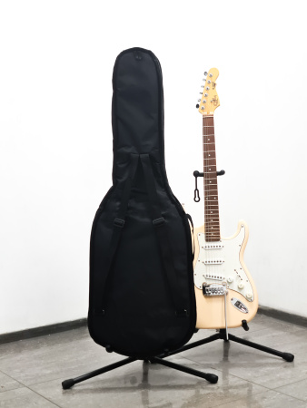 ЧГЭ3 Чехол для электрогитары, утепленный