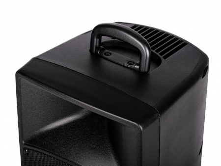 PR-8 Акустическая система c радиомикрофоном, аккумуляторная, 50Вт, Leem