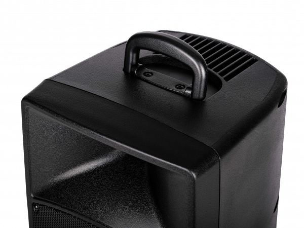 PR-8 Акустическая система c радиомикрофоном, аккумуляторная, 50Вт, Leem